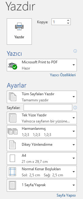 Yazdırma Ayarları Menüsü
